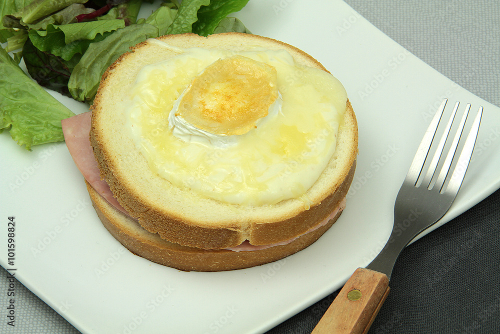 Fotografie croque-monsieur 01022016