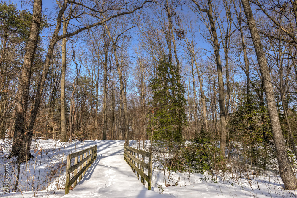 Old walking bridge in the woods covered in snow Old walking bridge in the woods covered in snow