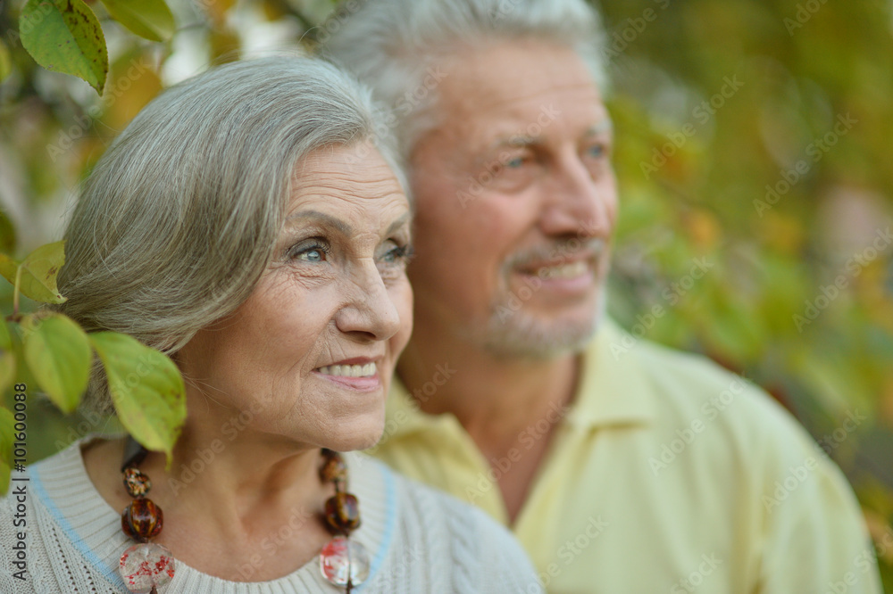 mature couple in summer park mature couple in summer park