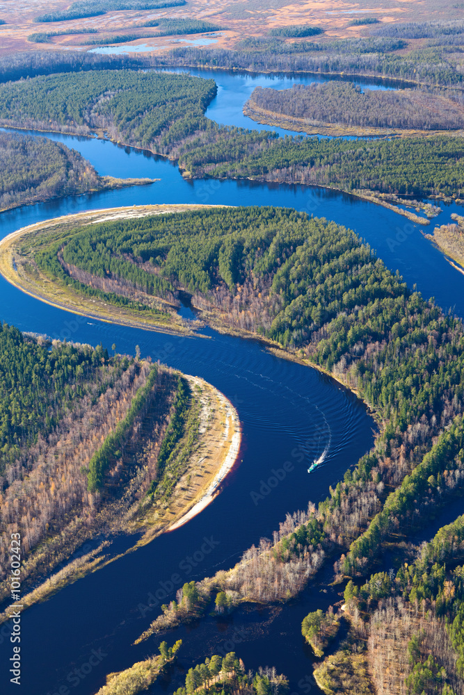 Forest river in autumn, top view