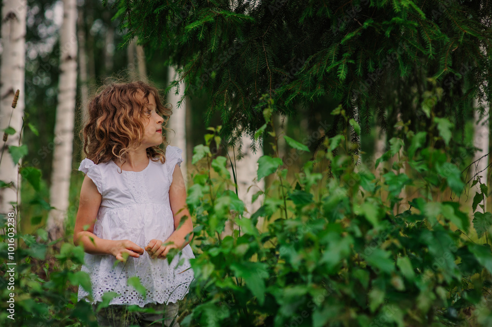 cute child girl walking in summer forest with birch trees. Nature exploration with kids. Outdoor rural activities. cute child girl walking in summer forest with birch trees. Nature exploration with kids. Outdoor rural activities.