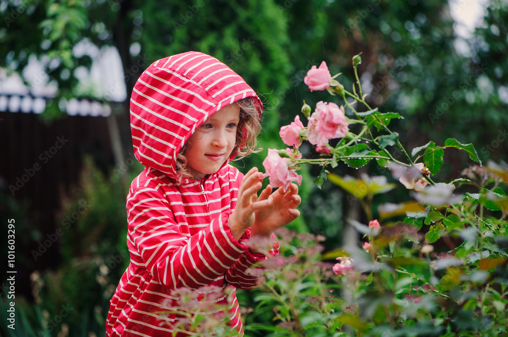 Φωτογραφία child girl in red striped raincoat playing with wet roses in rainy summer garden