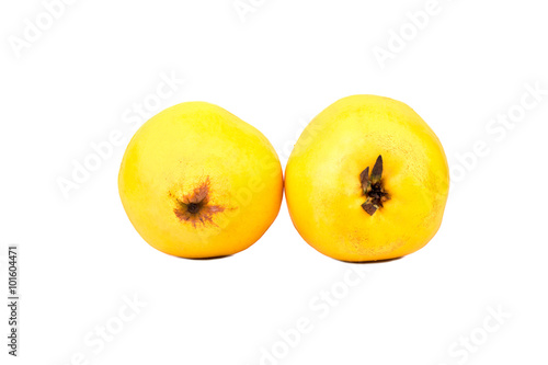 Two fruit quince