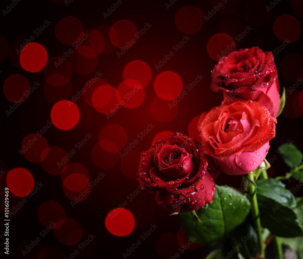 Valentine Roses Valentine Roses