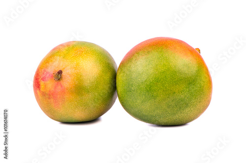 Two mango fruit