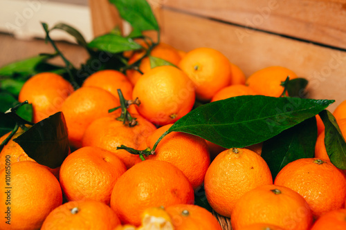 many fresh tangerines on a wooden background