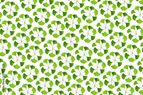 Blättermuster aus getrockneten Ginkgo-Blättern grün