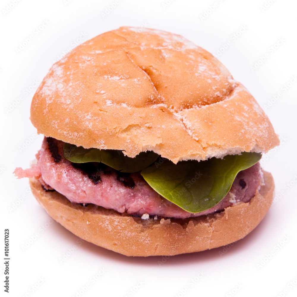 Grilled crocodile meat burger isolated on a white studio background. Grilled crocodile meat burger isolated on a white studio background.