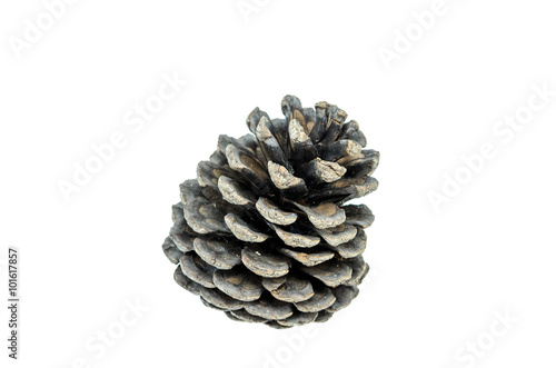 Christmas pine cones