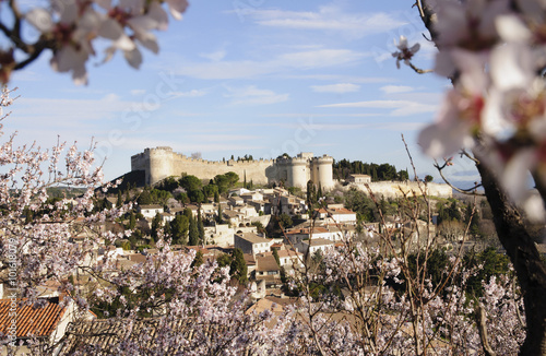 Villeneuve les Avignon