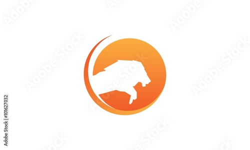 Fototapeta Naklejka Na Ścianę i Meble -  Lion Logo