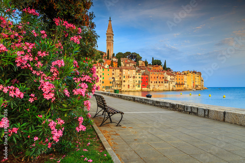 Foto Stunning cityscape with Rovinj old town,Istria region,Croatia,Europe