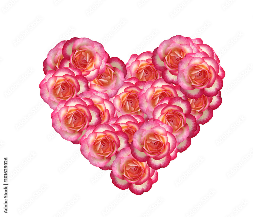 Valentines Day heart made of pink roses isolated on white backgr Valentines Day heart made of pink roses isolated on white backgr