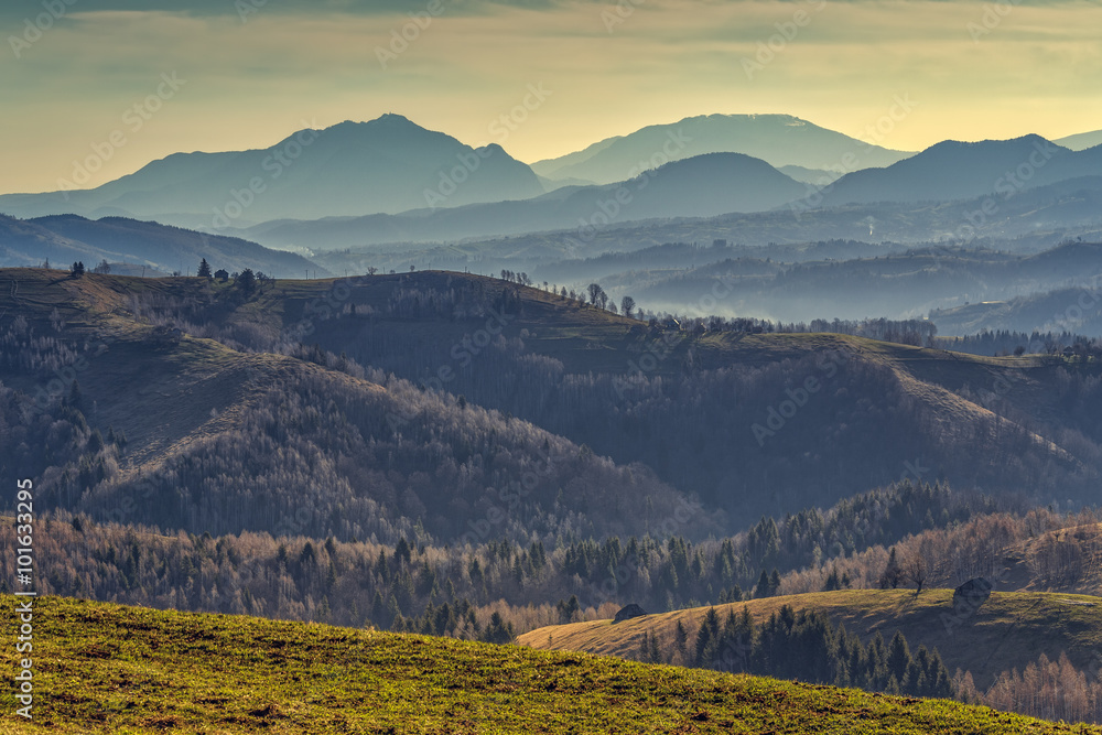 Φωτογραφία Tranquil rural view with country road and traditional wooden houses uphill in Sirnea village, Brasov county, Romania