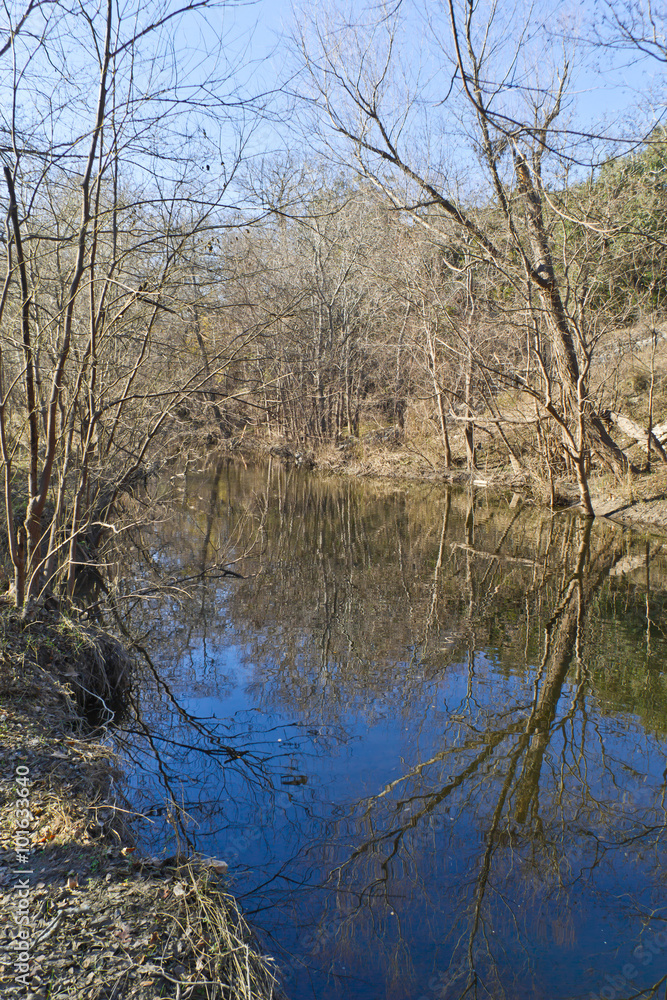 Tree reflection at Brushy Creek Regional Trail Tree reflection at Brushy Creek Regional Trail
