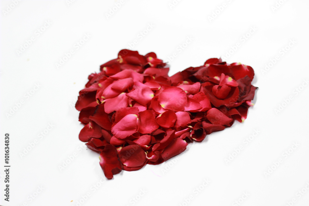 Heart shaped rose petals Heart shaped rose petals