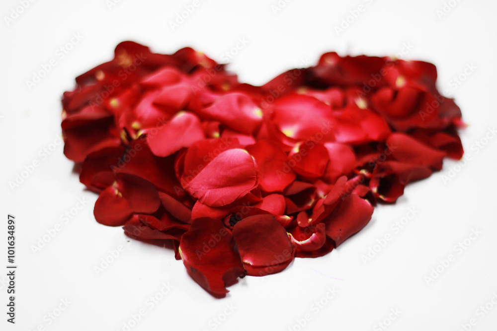 Heart shaped rose petals