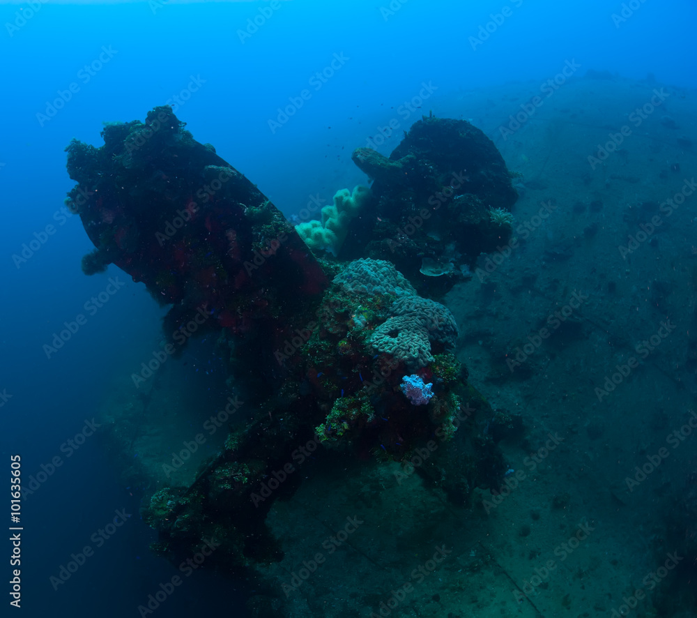Stoped forewer. Huge propeller of the shipwreck in Micronesia become  home for many fishes and corals