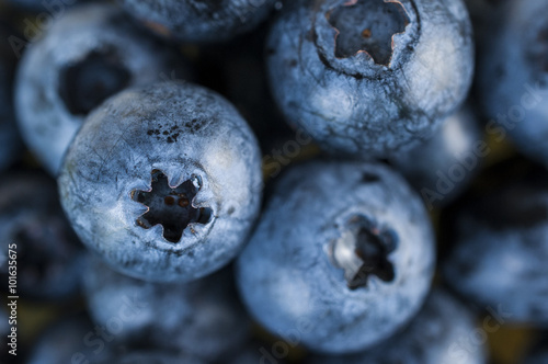 Close up fresh blueberries