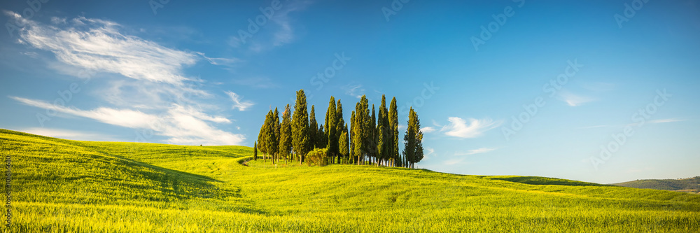 Фотография Tuscany at spring