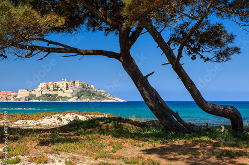 Calvi Citadelle, Corsica, France photo