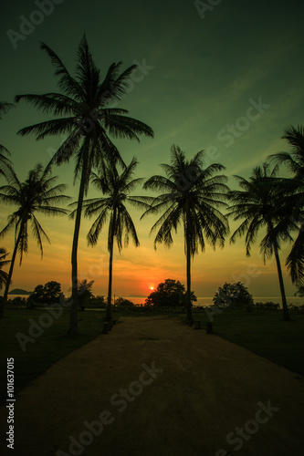Silhouettes of palm trees with beatuful sunset on koh pangan © skunevski