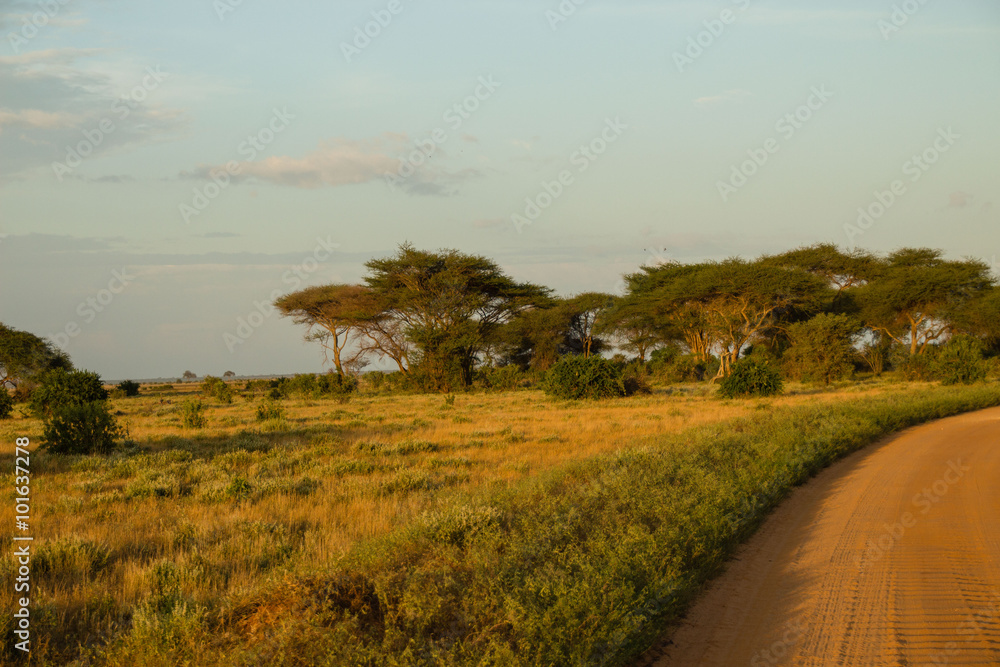 tour einer Safari