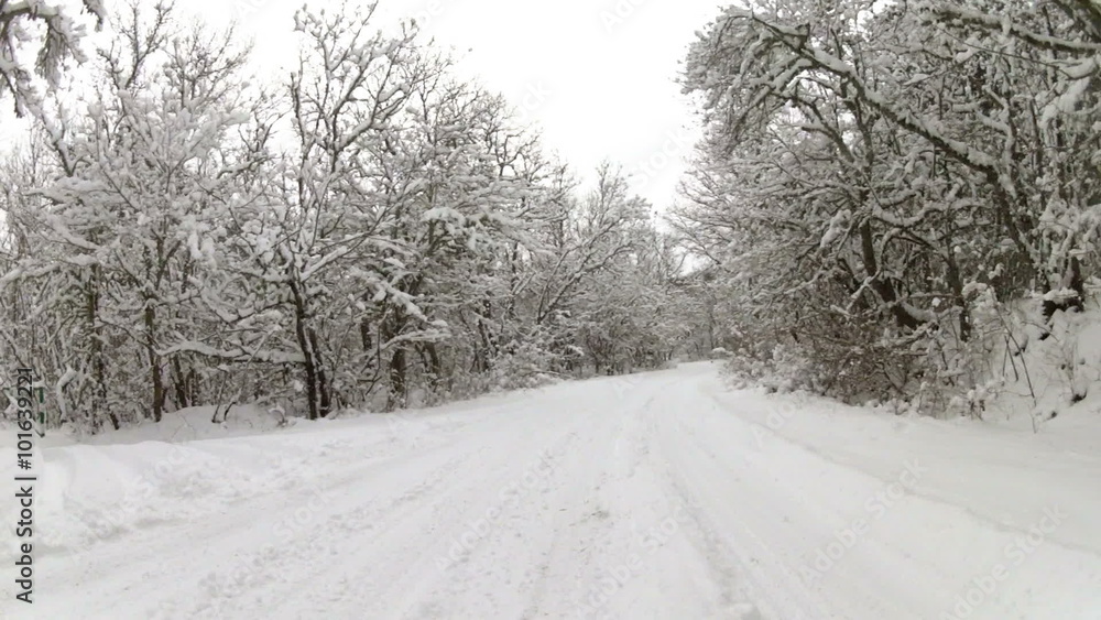 winter road through forest after snowfall, Go Pro winter road through forest after snowfall, Go Pro