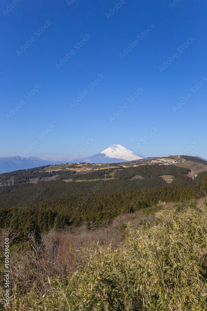 Fototapeta premium 箱根峠付近から見た富士山が映える四季の自然景観