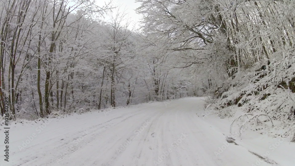 fascinating journey through the mountain forest in winter, GoPro fascinating journey through the mountain forest in winter, GoPro