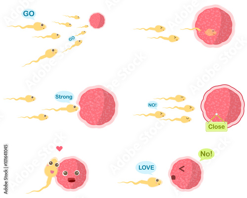  Funny cartoon sperm and an egg representing a couple