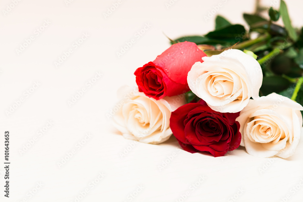 Red and white roses on a light wooden background. Women' s day, Red and white roses on a light wooden background. Women' s day,