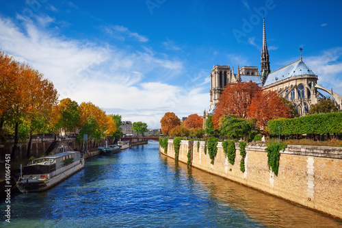 Fényképezés Notre Dame cathedral in Paris and  Seine river