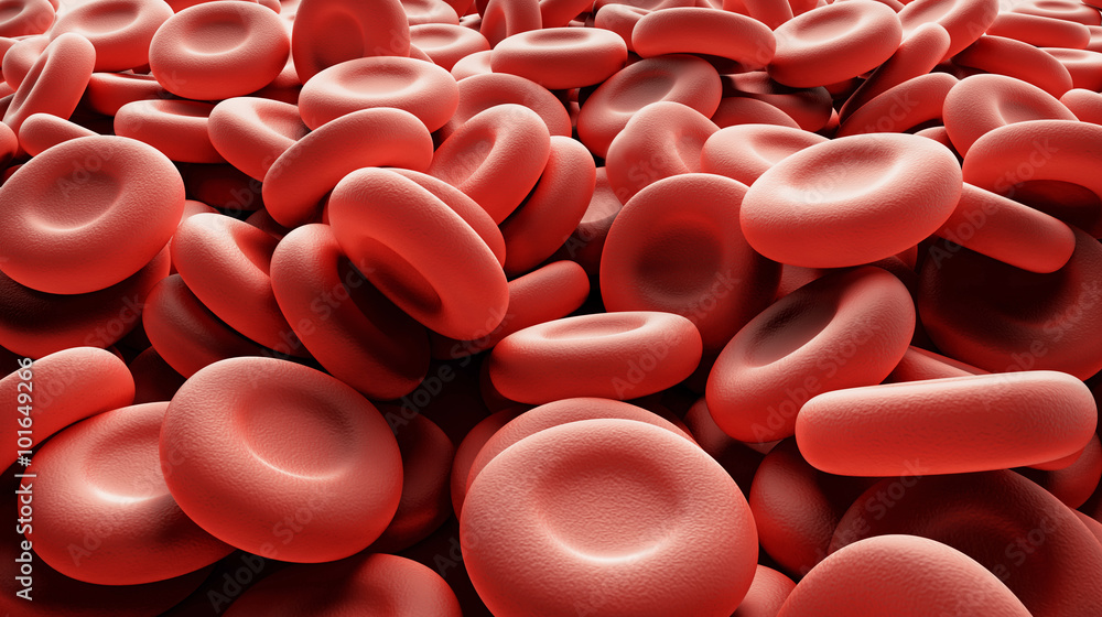 Fototapeta premium blood cells