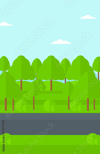 Background of green forest.