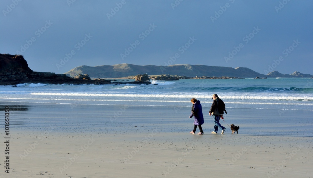 Un couple avec un chien se promènent sur une plage de Bretagne à marée basse en hiver