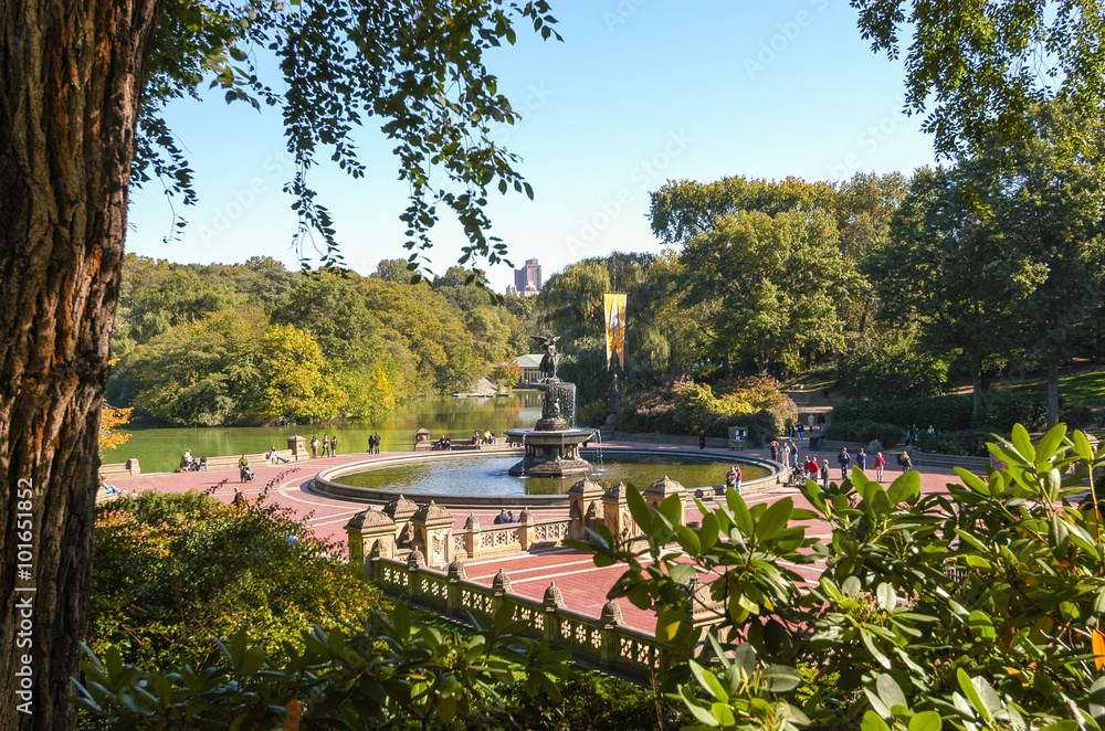 Fotografie Bethesda Terrace