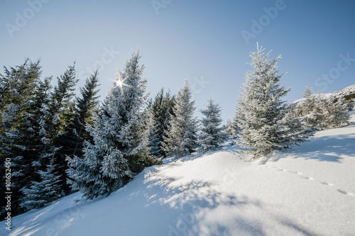 Winter landscape © firewings
