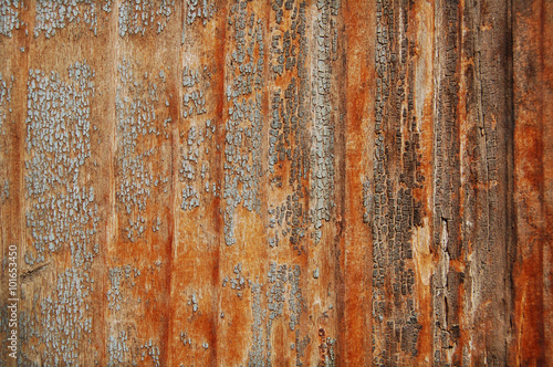 Cracked paint on a wooden wall.old painted wood wall texture, grunge background, cracked paint.