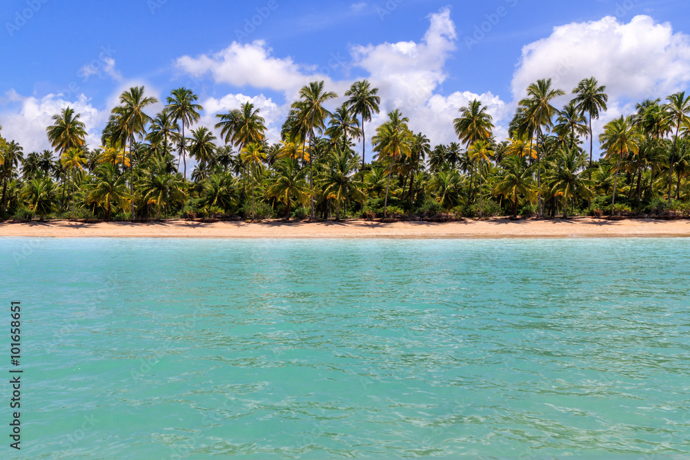 Obraz premium Maragogi beach horizon at Alagoas, Brazil