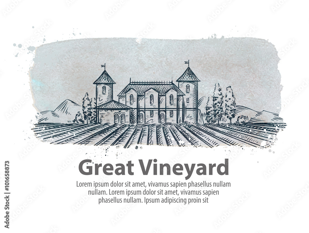 vineyard, vinery vector logo design template. harvest, crop, yield or farming icon