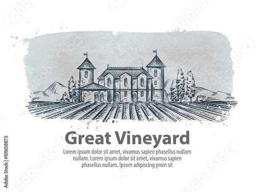 vineyard, vinery vector logo design template. harvest, crop, yield or farming icon