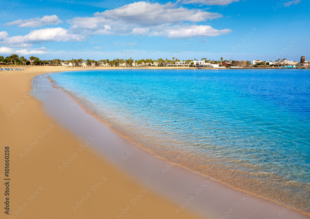 Fuerteventura Caleta del Fuste Canary Islands