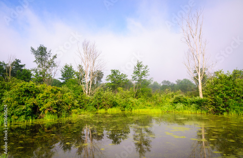 Jamestown Audubon Center and Sanctuary