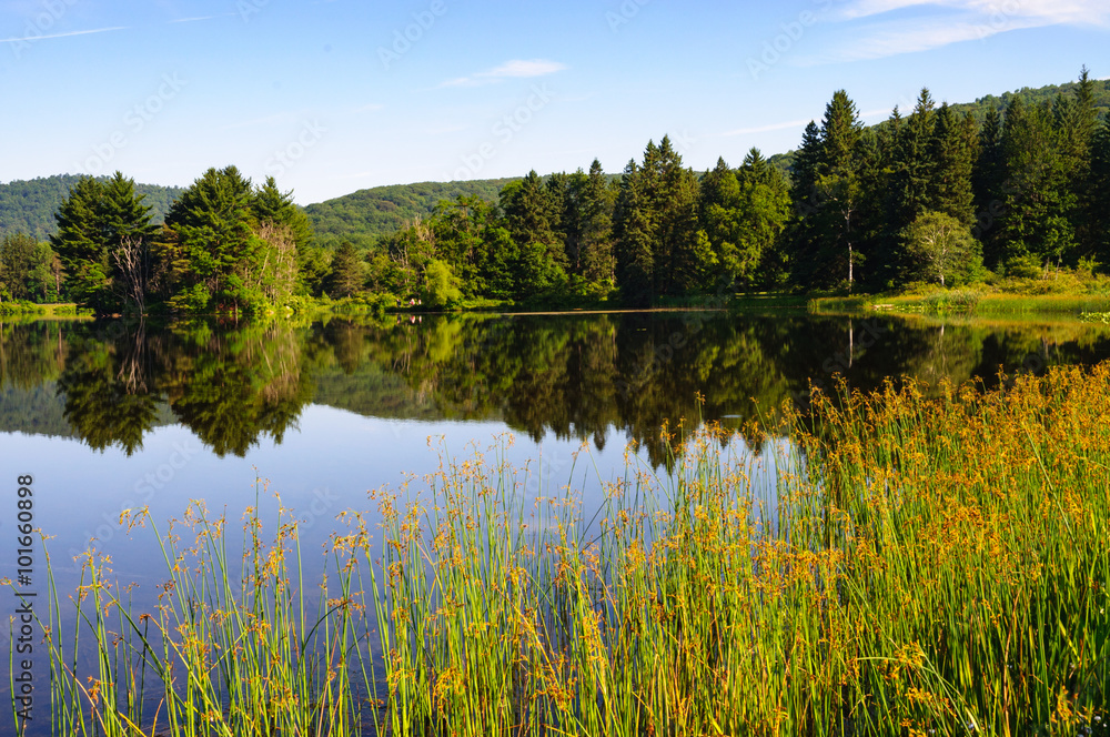 Allegany State Park