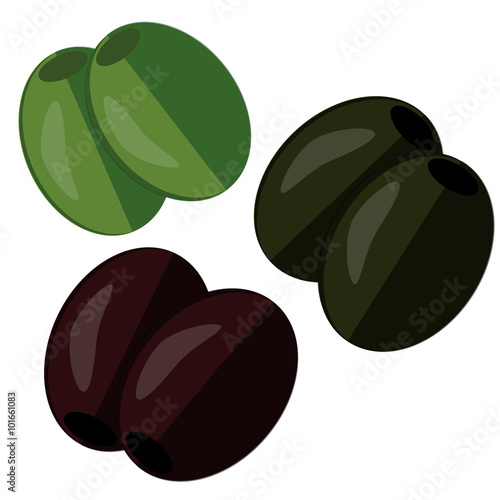 Vector flat composition made with three different sorts of olives isolated on white. Thematic image. Can be used in recipe book decoration, as design element, in canned food industry.