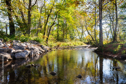 Great Smoky Mountains National Park