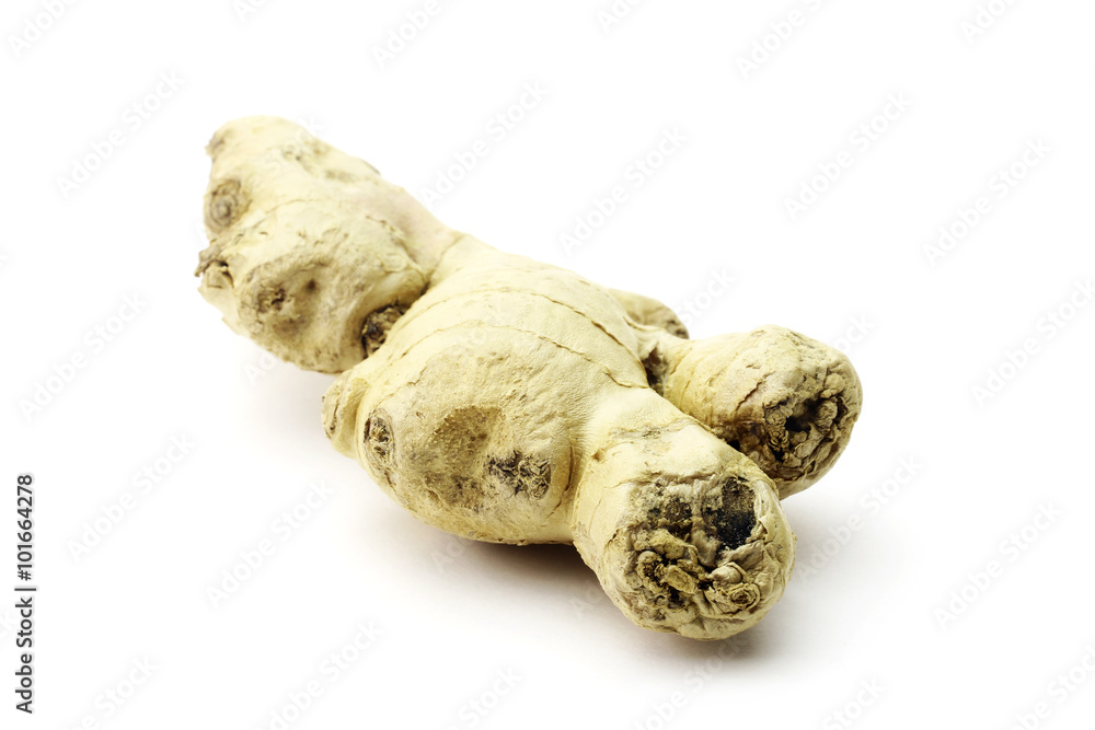 Fresh ginger on a white background Fresh ginger on a white background