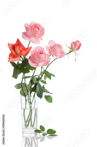 Beautiful bouquet of roses in a glass vase isolated on white bac