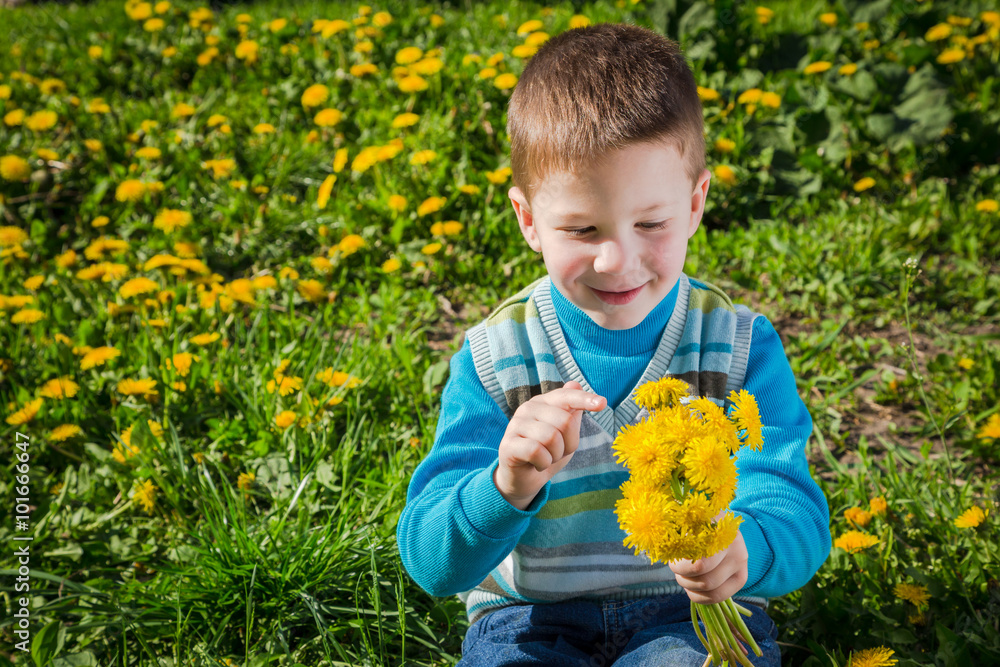 Little boy on the field with dandelions Little boy on the field with dandelions